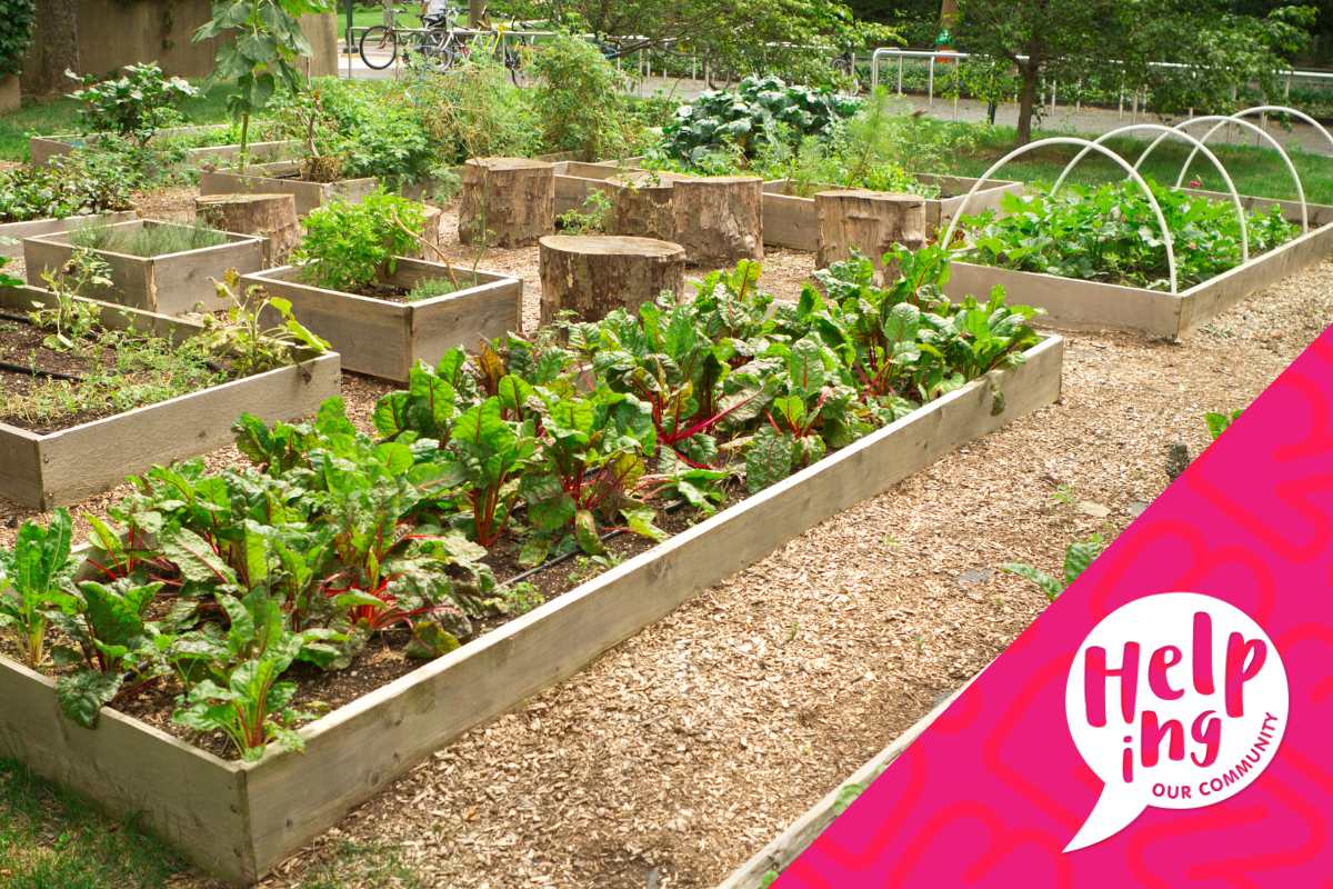 Pal from PCPals Supporting Redlands Organic Growers Inc.